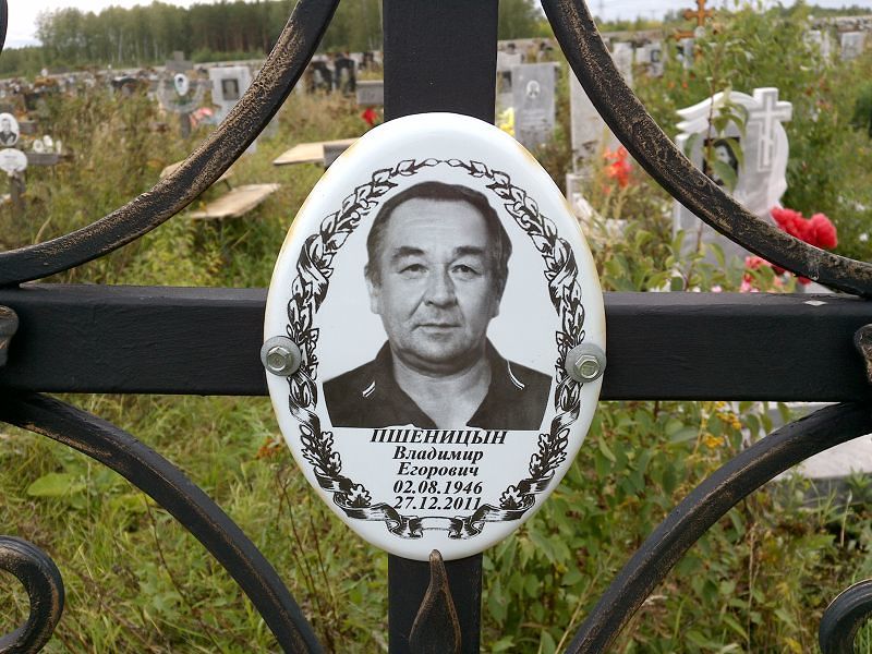 Пшеницын