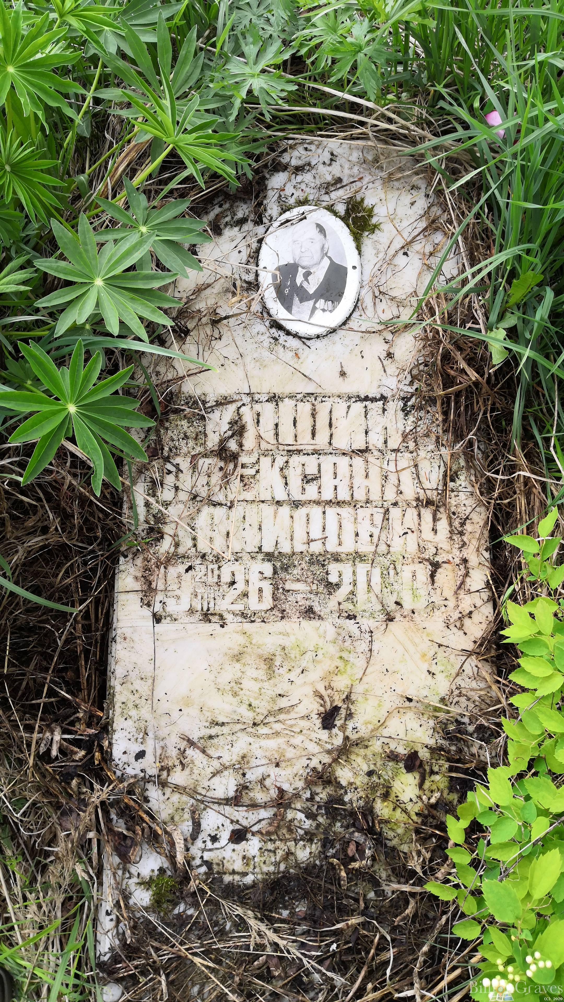 Кашин Александр Данилович