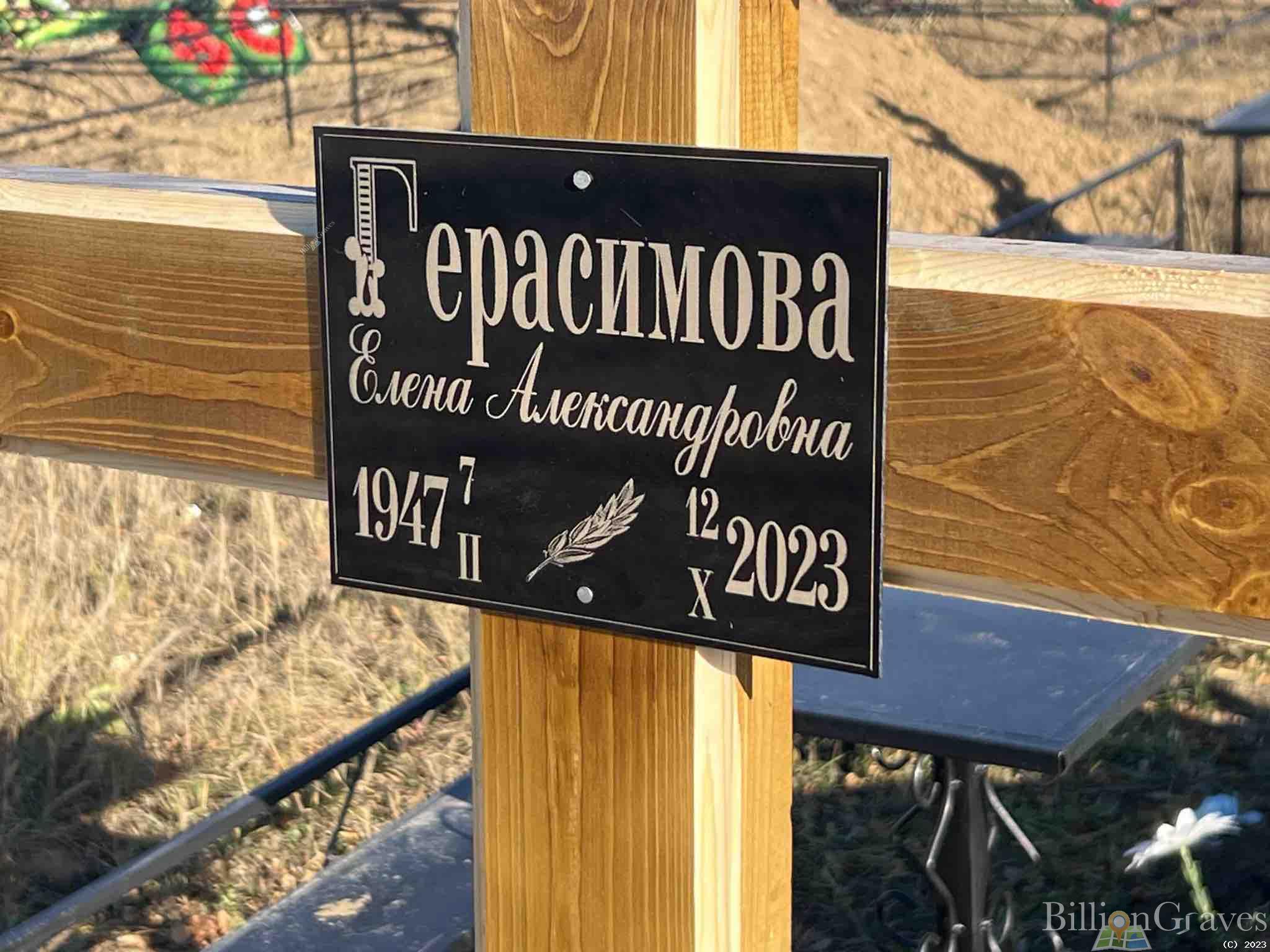 Герасимова Елена Александровна
