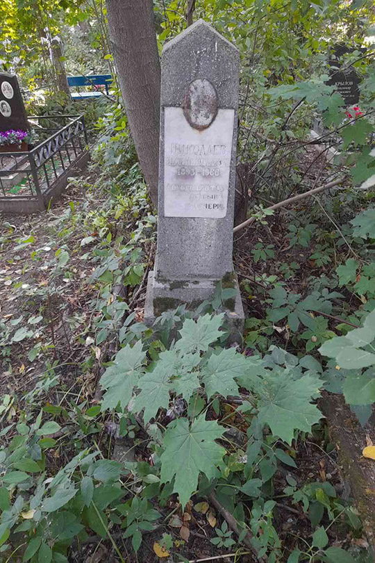 Николаев Яков Николаевич