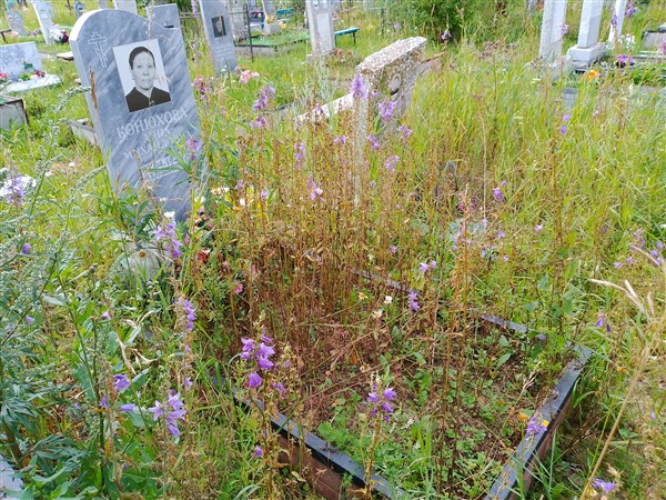 Конюхова Анна Михайловна
