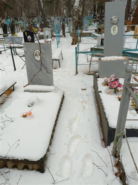 Мечёва Александра Петровна