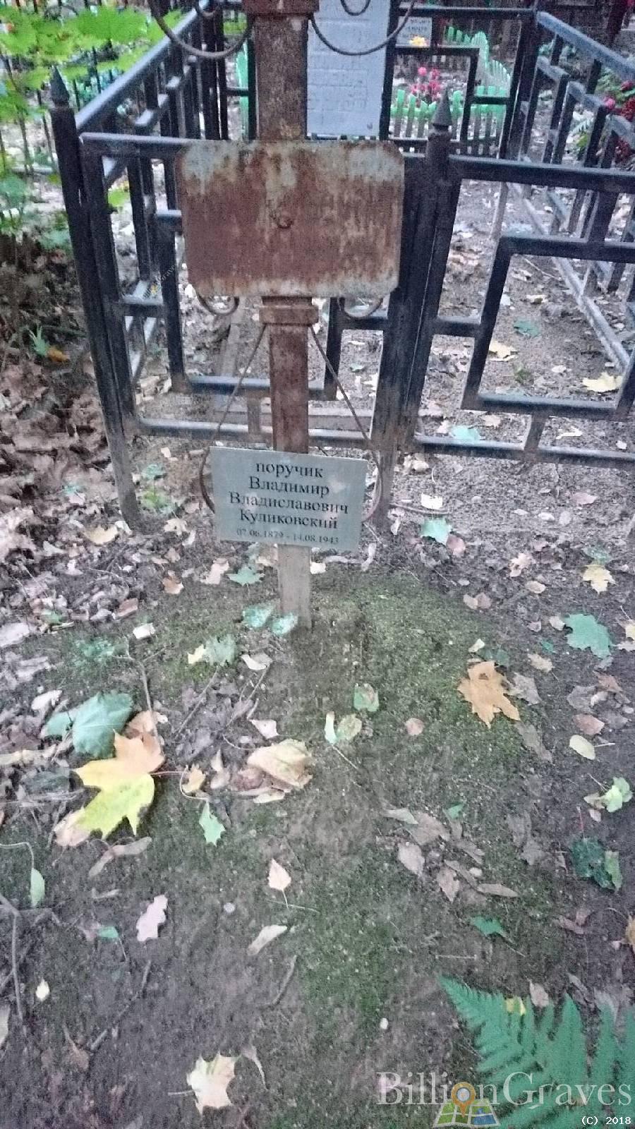 Куликовский Владимир Владиславович