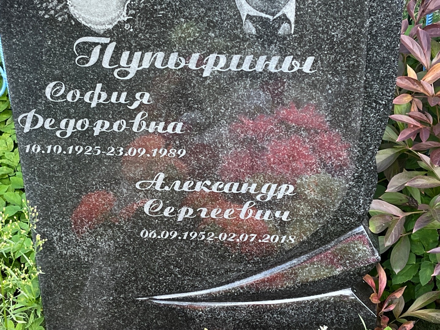 Пупырин