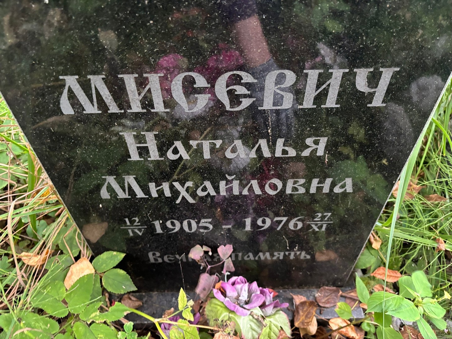 Мисевич