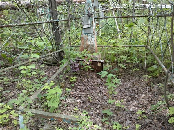 Доманитских Людмила Георгевна