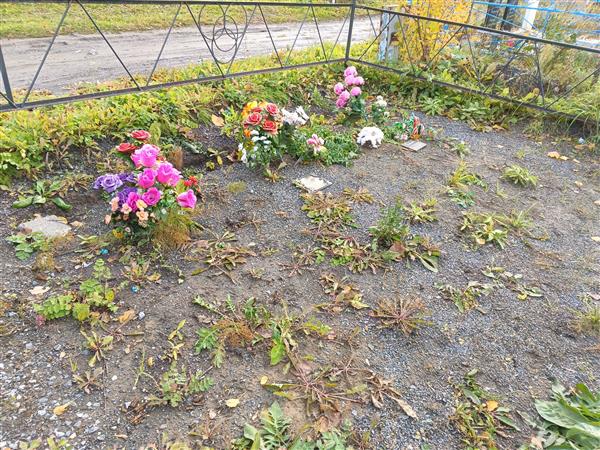 Панкова Вера Дмитриевна