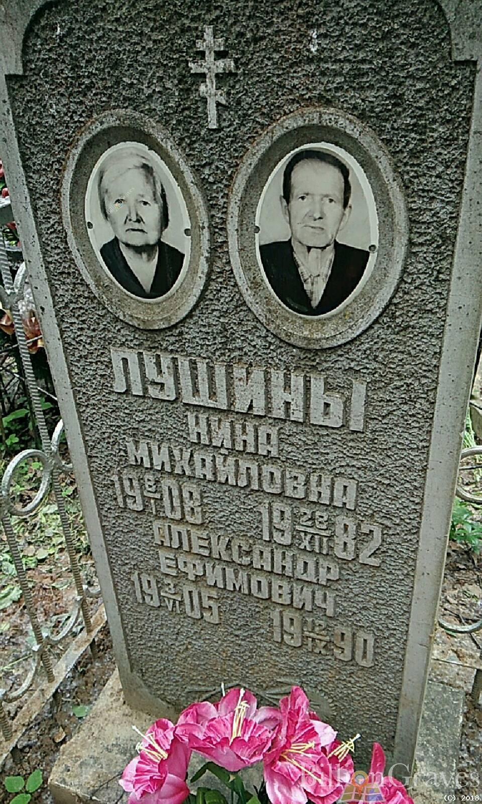 Лушин Александр Ефимович