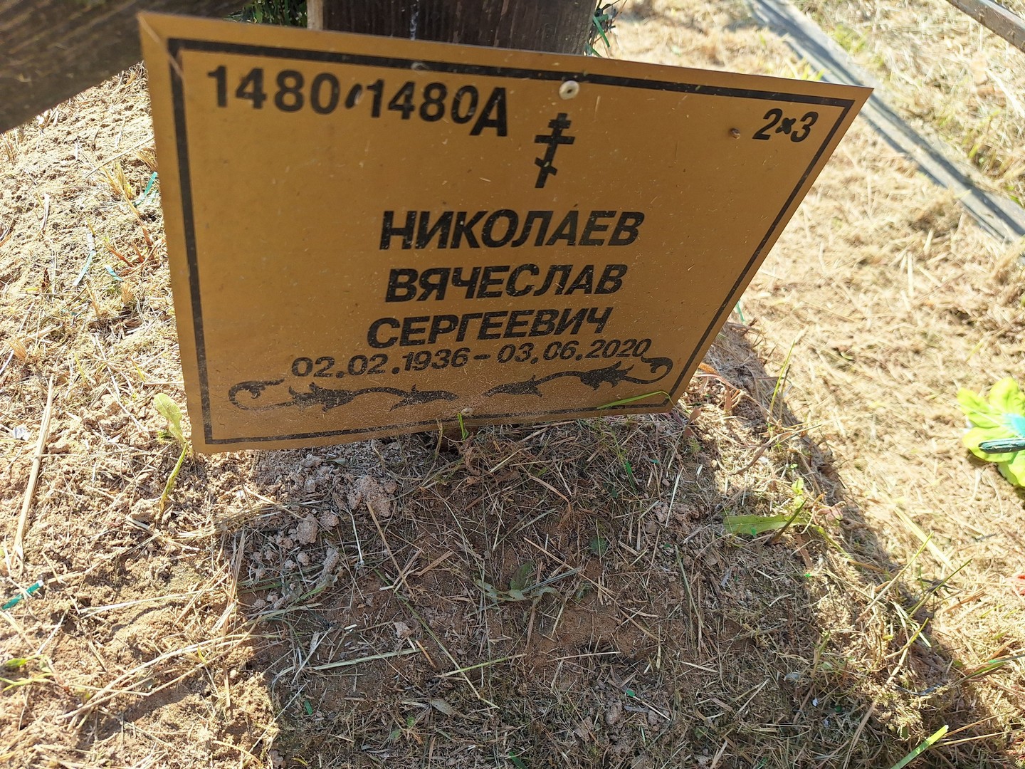 Николаев