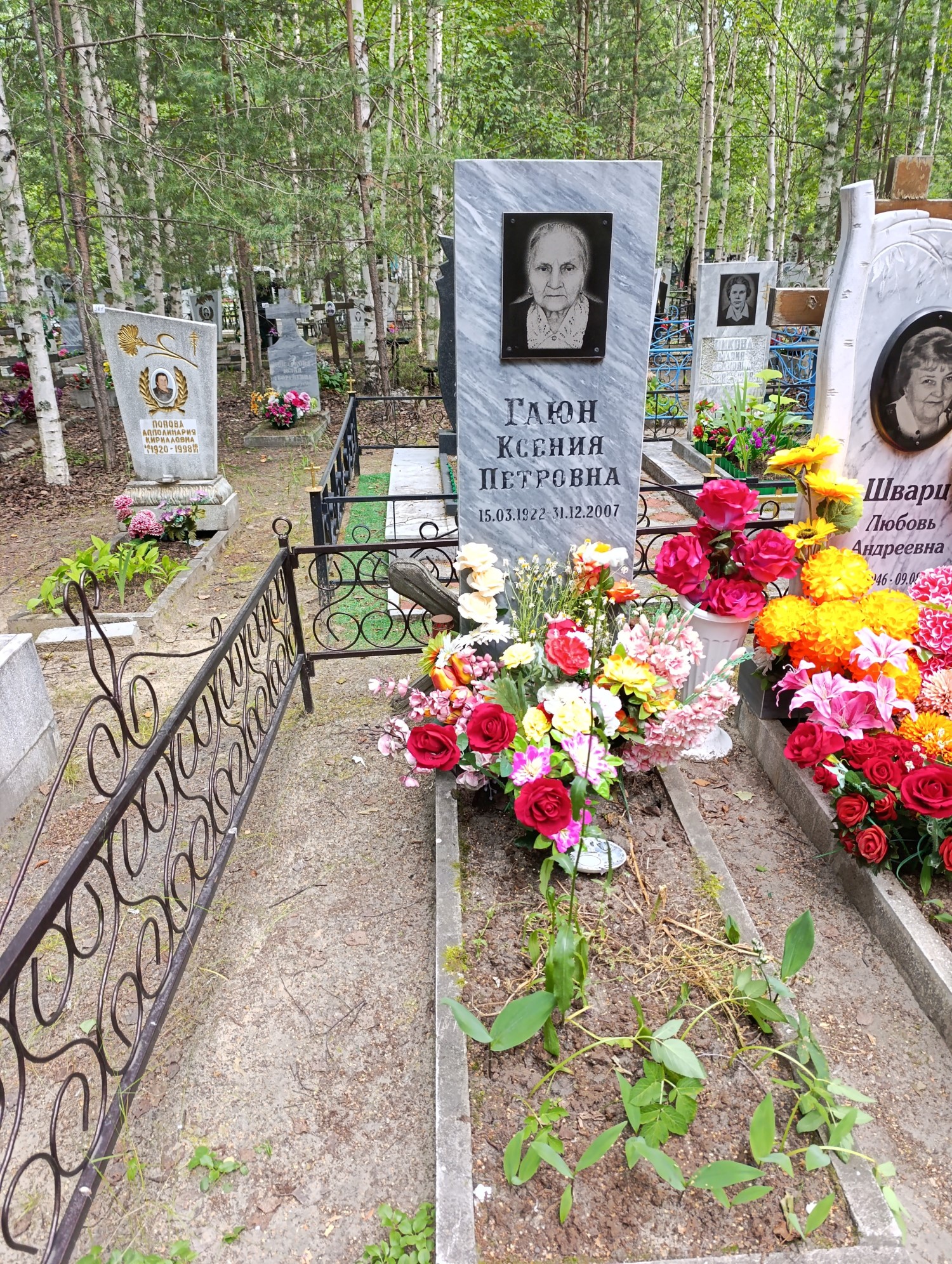 Гаюн Ксения Петровна