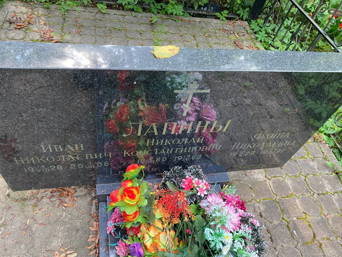 Лапин