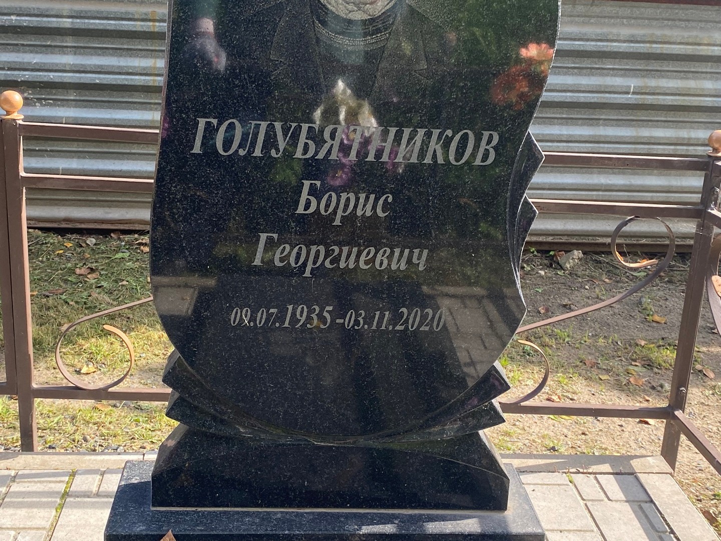 Голубятников