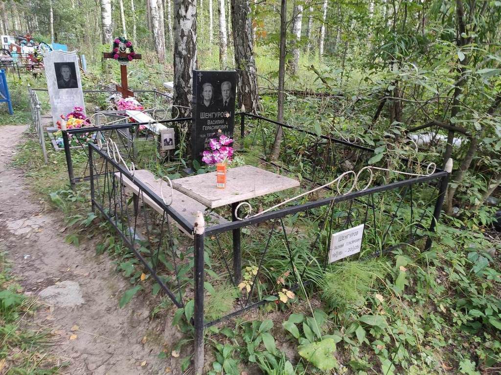 Шенгурова Анастасия Матвеевна