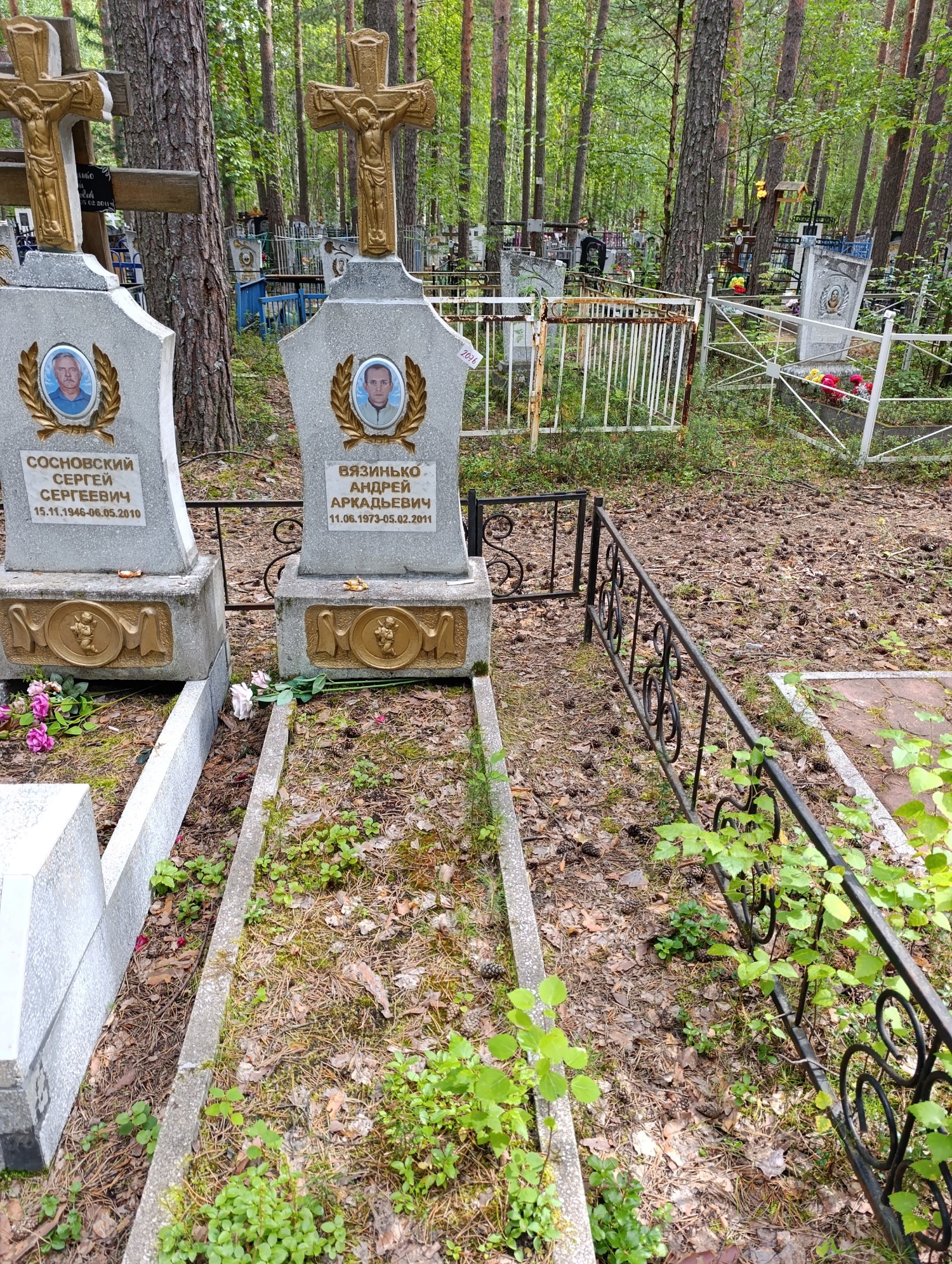 Вязинько Андрей Аркадьевич
