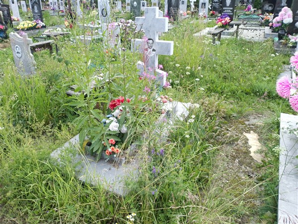 Соловьёв Александр Николаевич