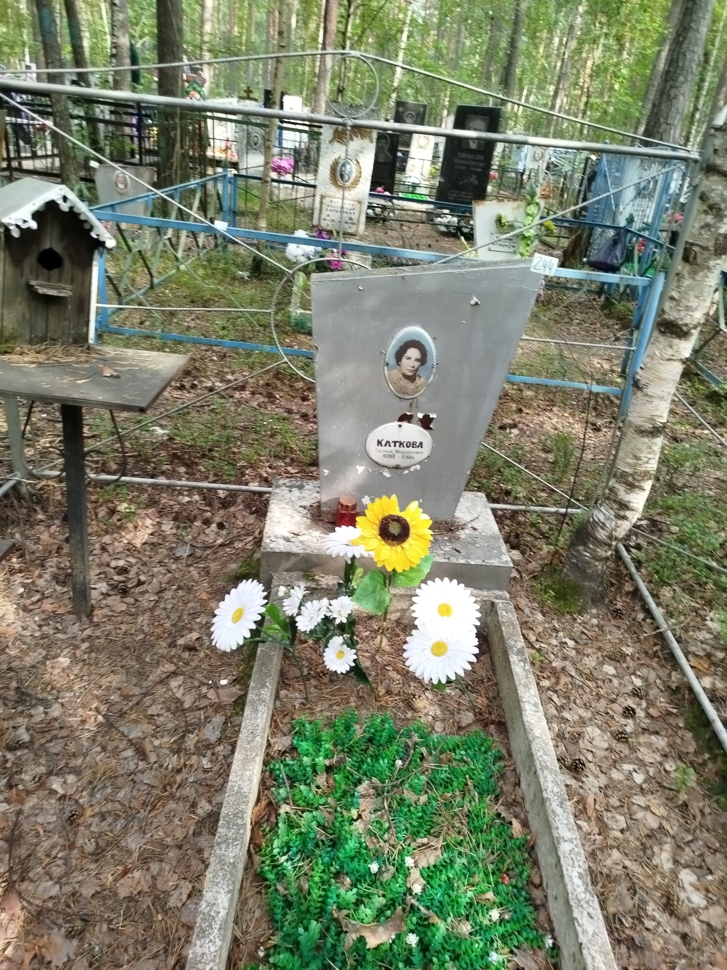 Каткова Галина Михайловна