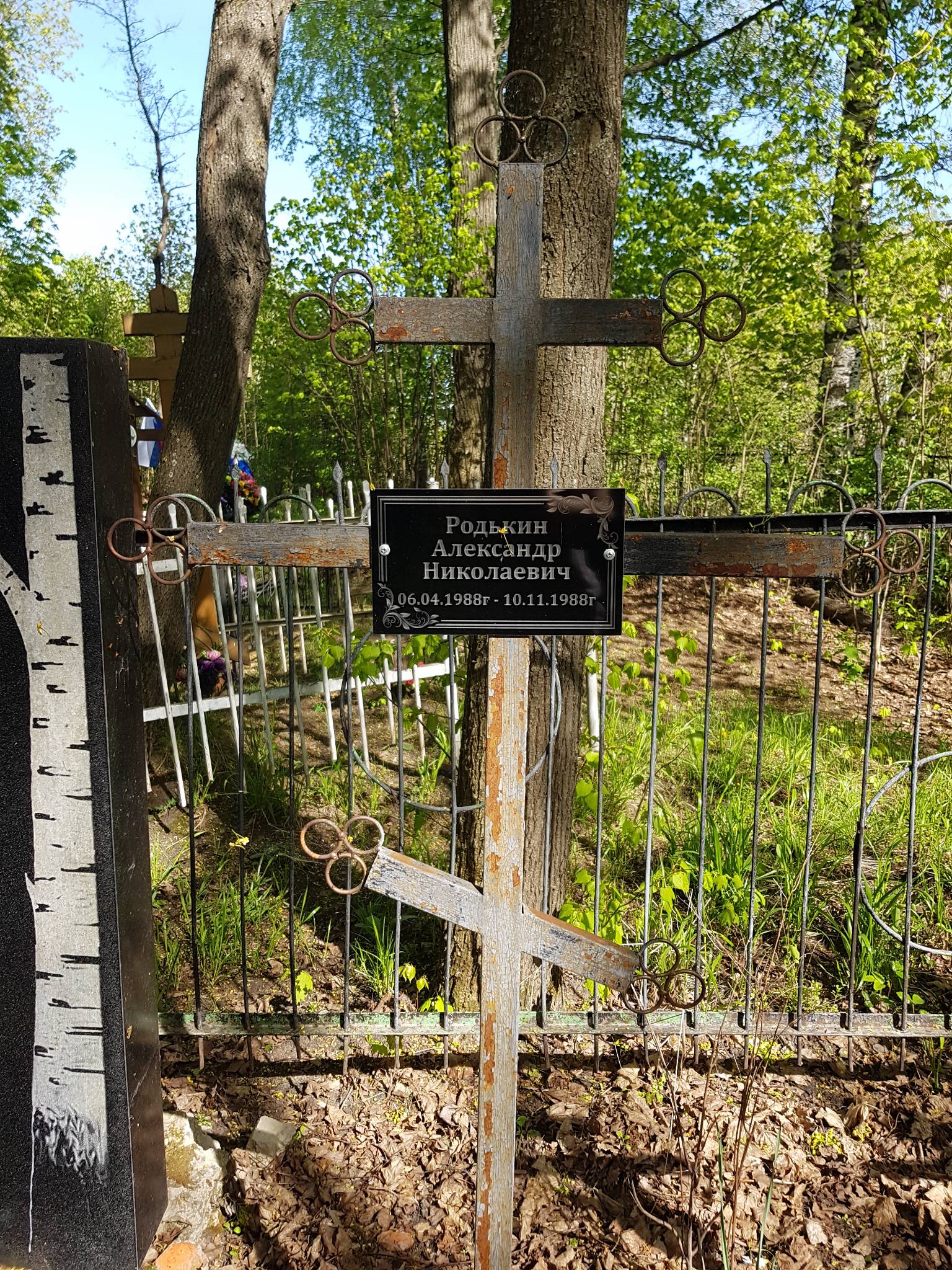 Родькин Александр Николаевич