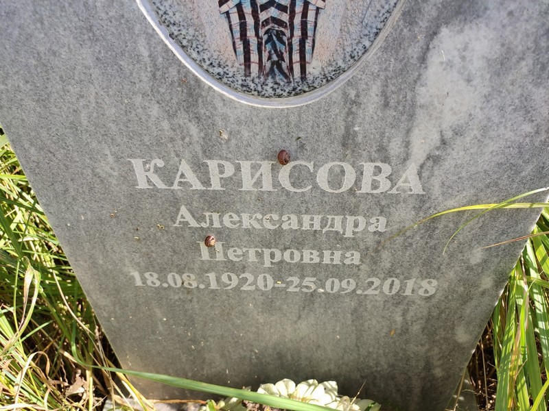 Карисова Александра Петровна