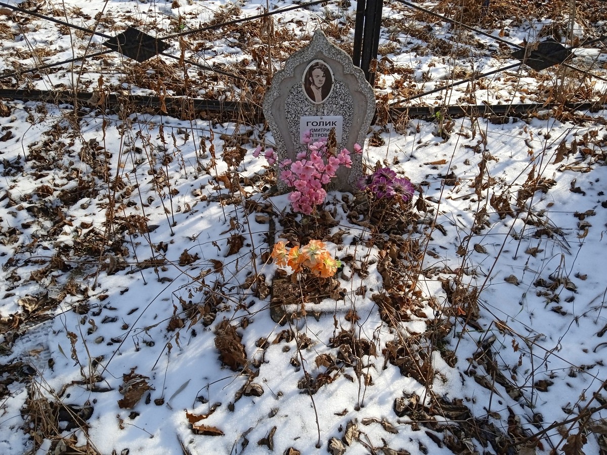 Голик Дмитрий Петрович