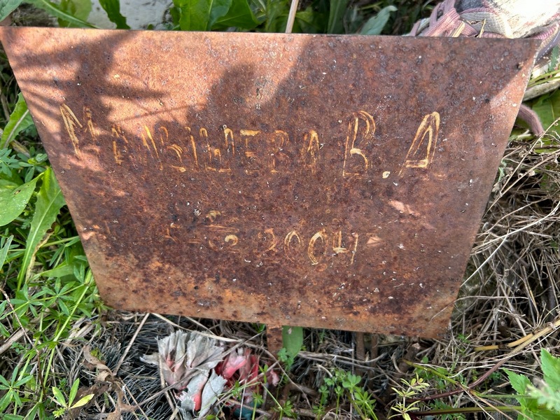 В. Малышева А.