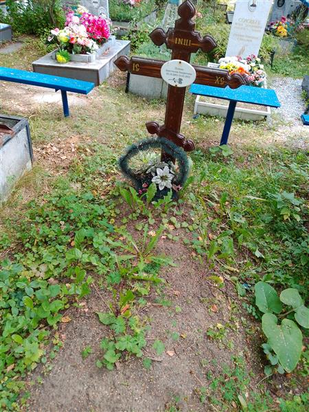 Лупова Анастасия Андреевна