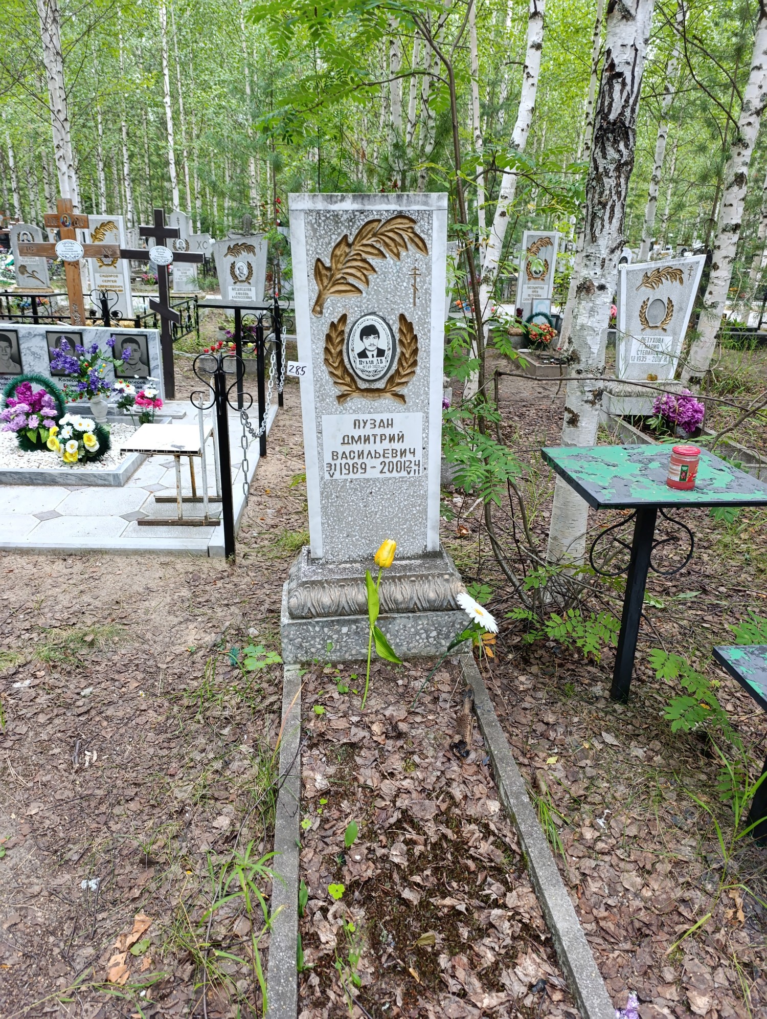 Пузан Дмитрий Васильевич