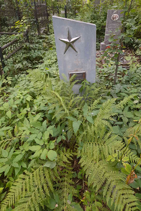 Соловьёв Георгий Абрамович