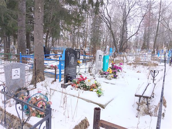 Шипицин Александр Александрович