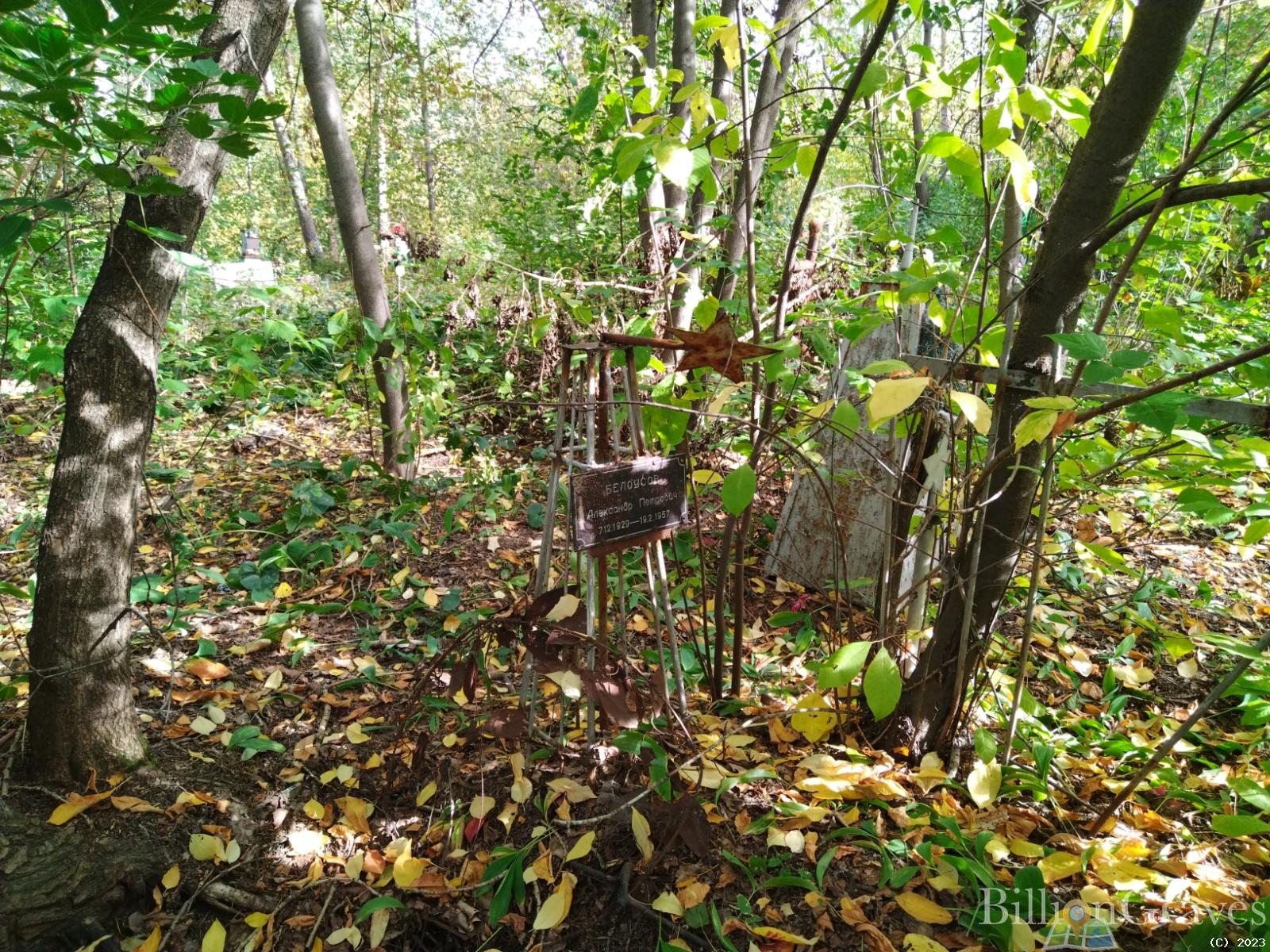 Белоусов Александр Петрович