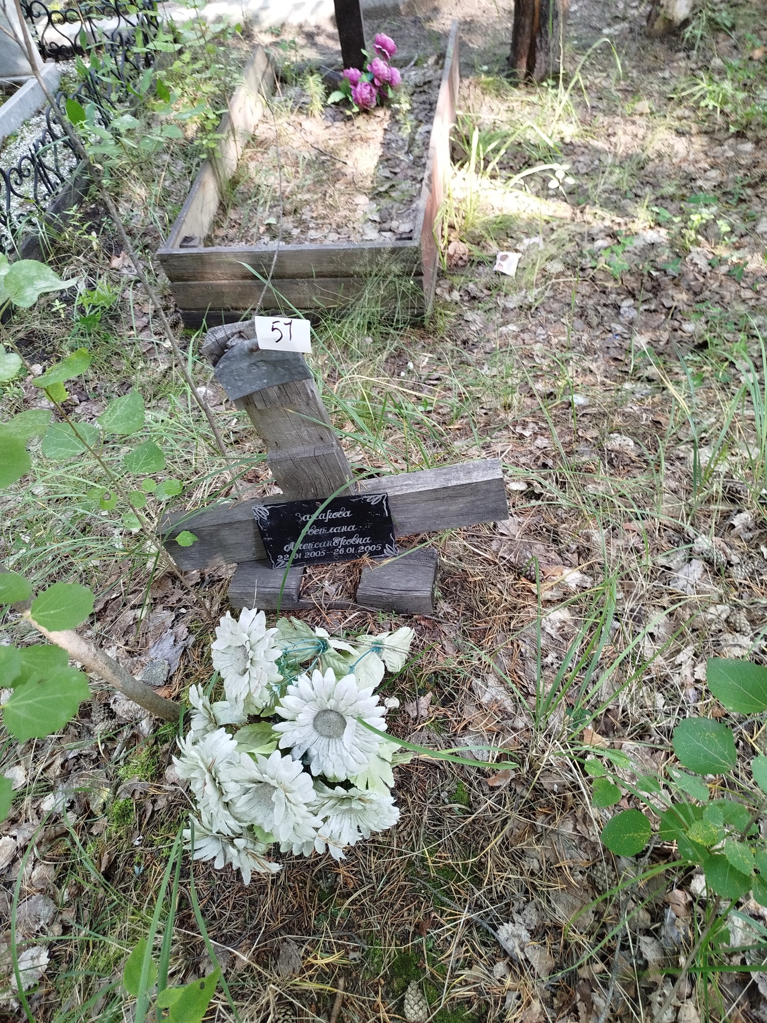Захарова Светлана Александровна