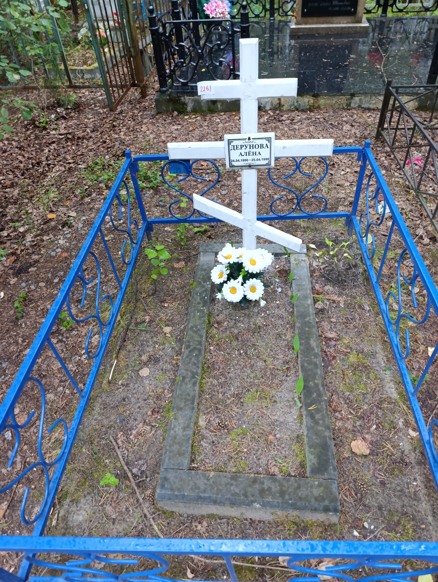 Дерунова Алена