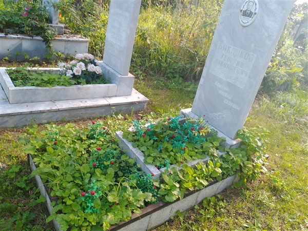 Баклуков Георгий Николаевич