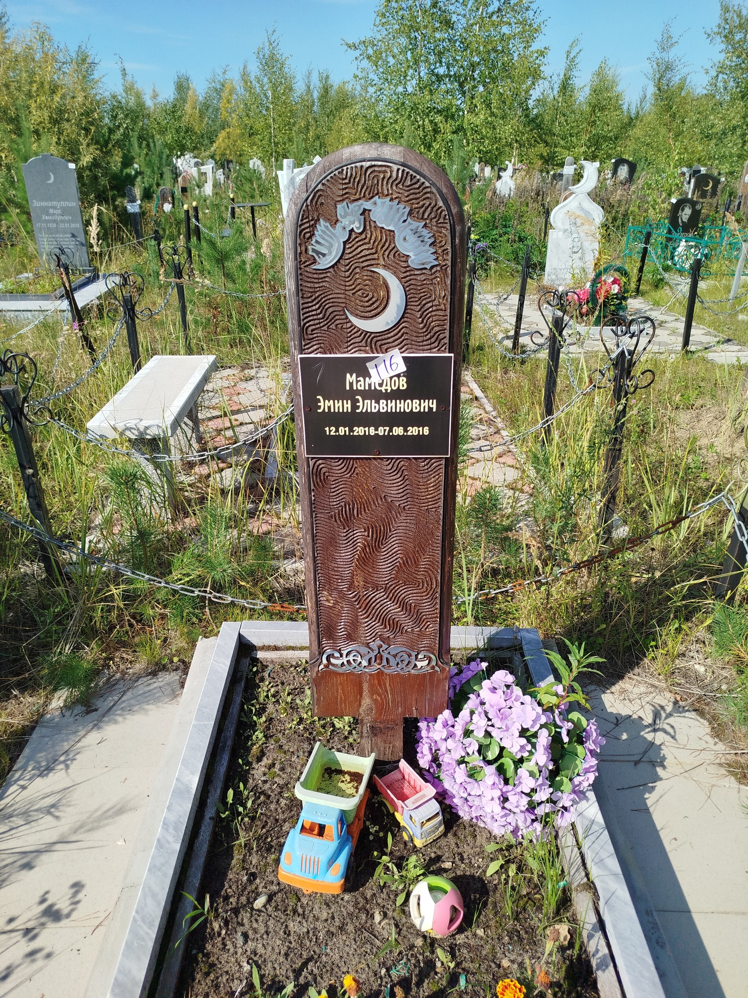 Мамедов Эмин Эльвинович