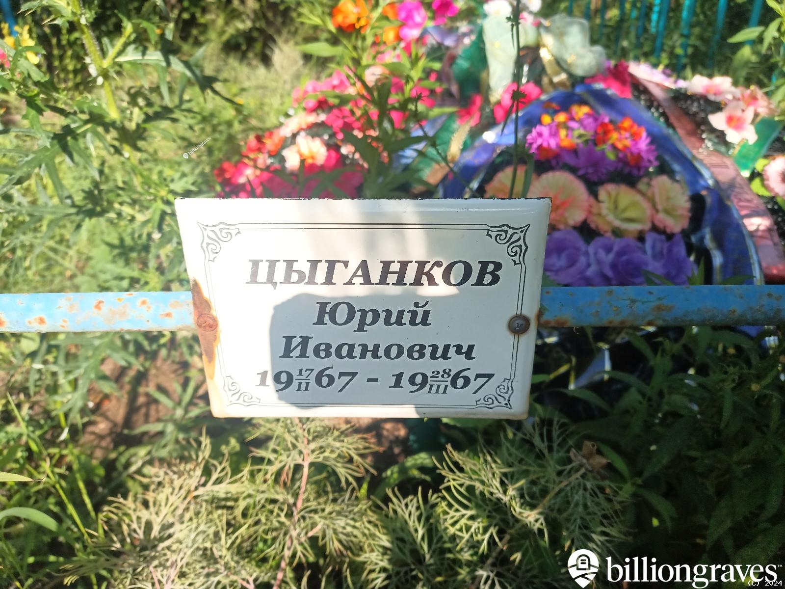 Цыганков Юрий Иванович