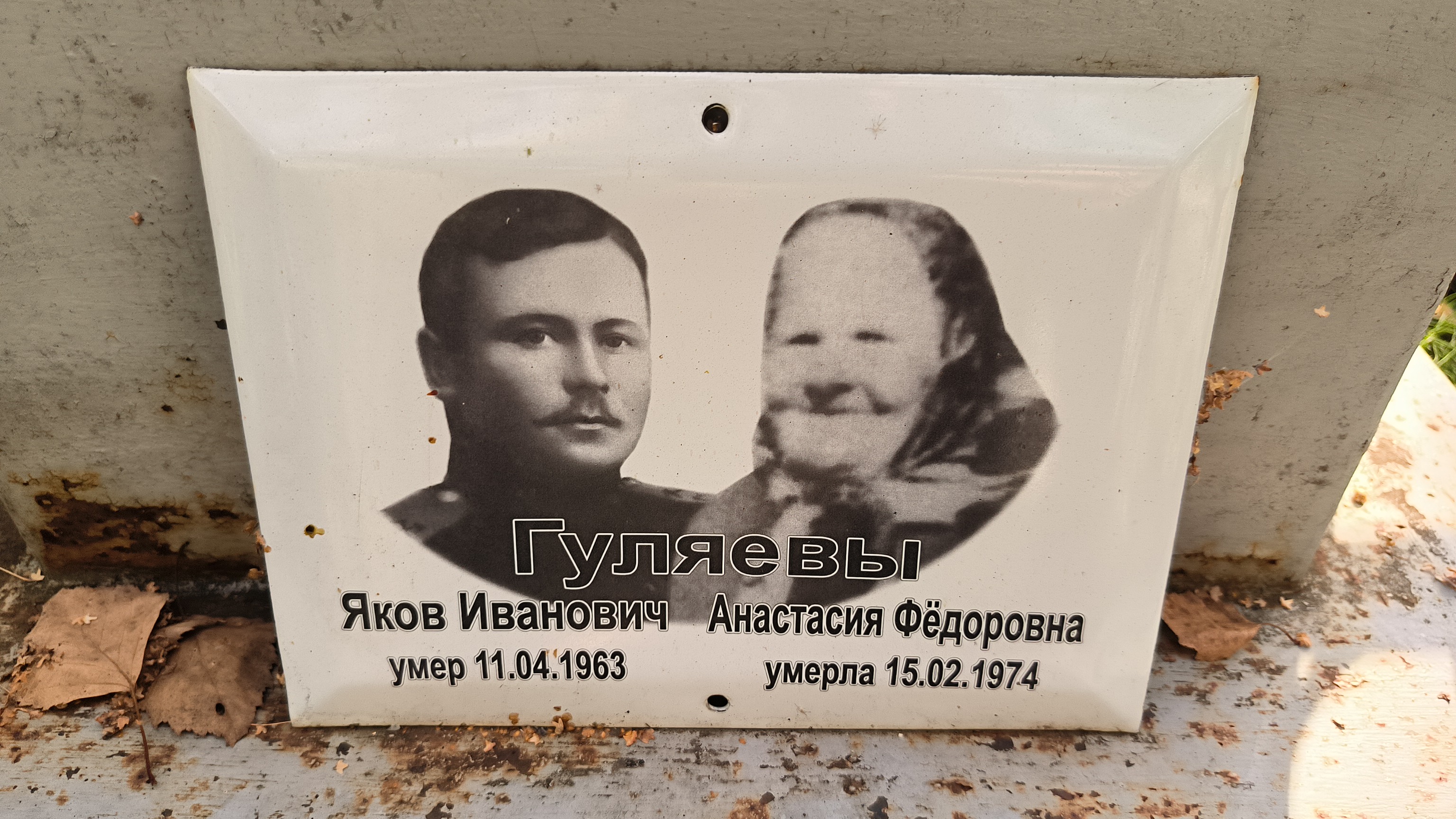 Гуляев Яков Иванович