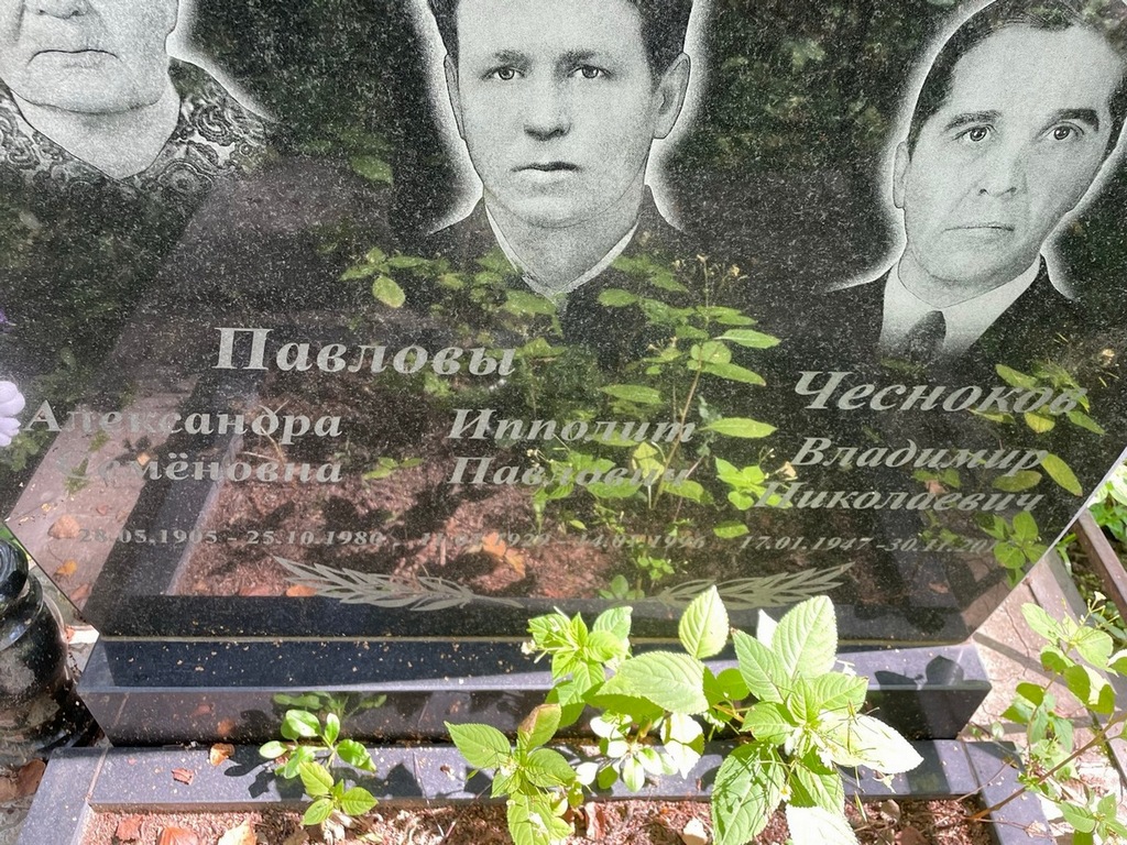Павлов Ипполит Павлович