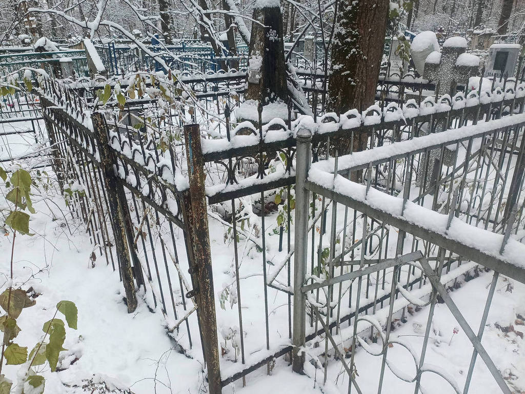 Тарасова Анастасия Павловна