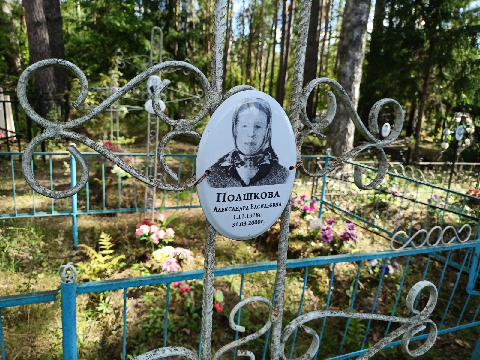 Полшкова Александра Васильевна
