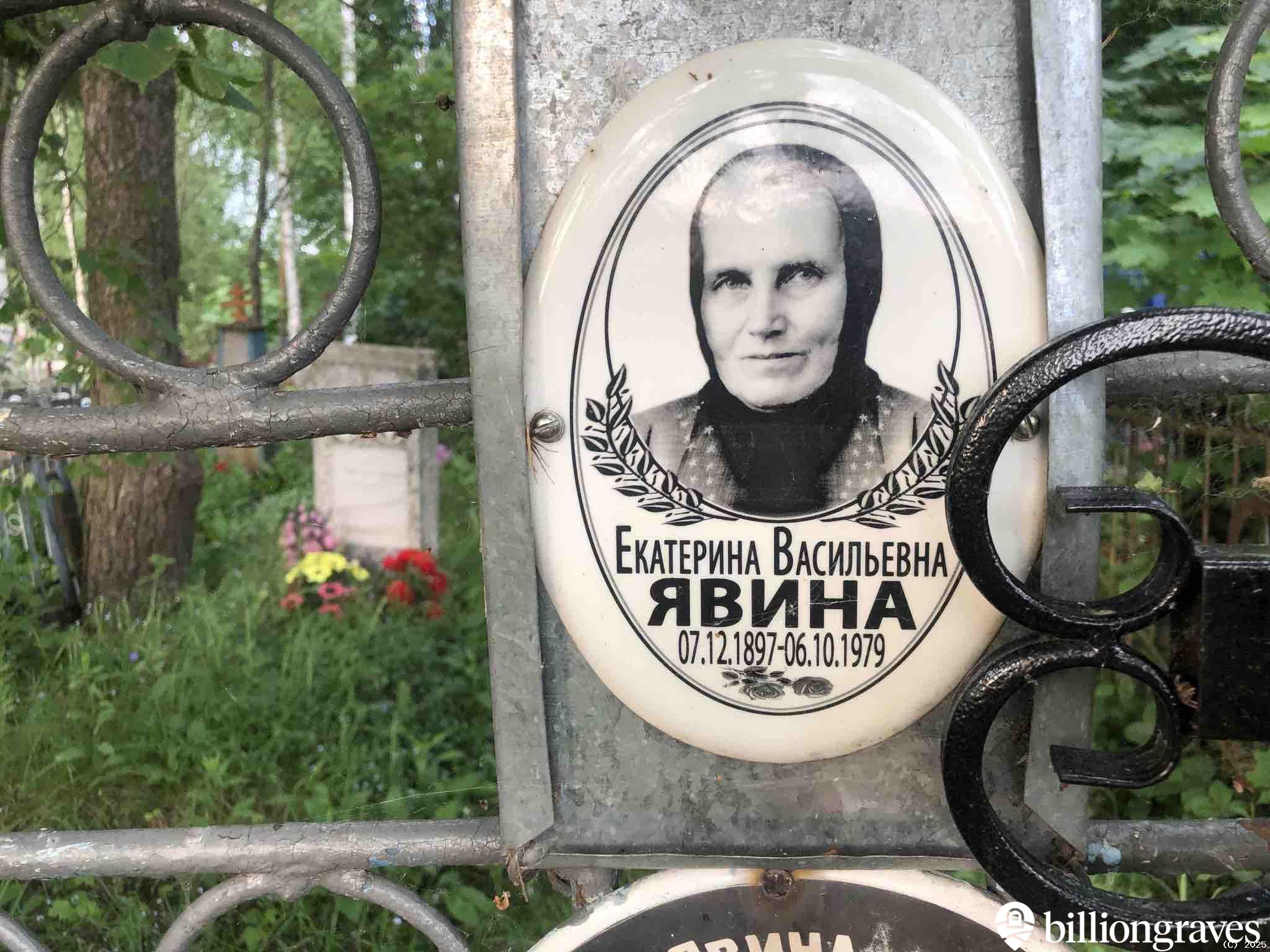 Явина Екатерина Васильевна