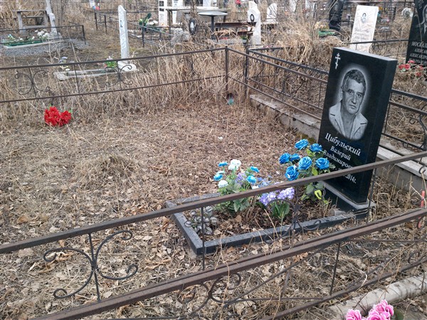 Цибульский Валерий Владимирович