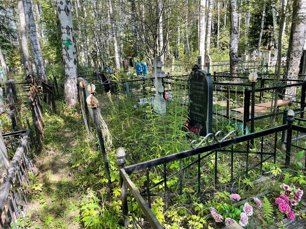 Полянский Николай Андреевич