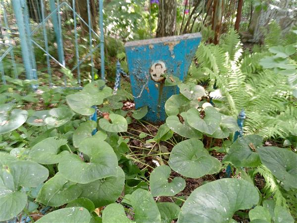 Полухин Владимир Яковлевич