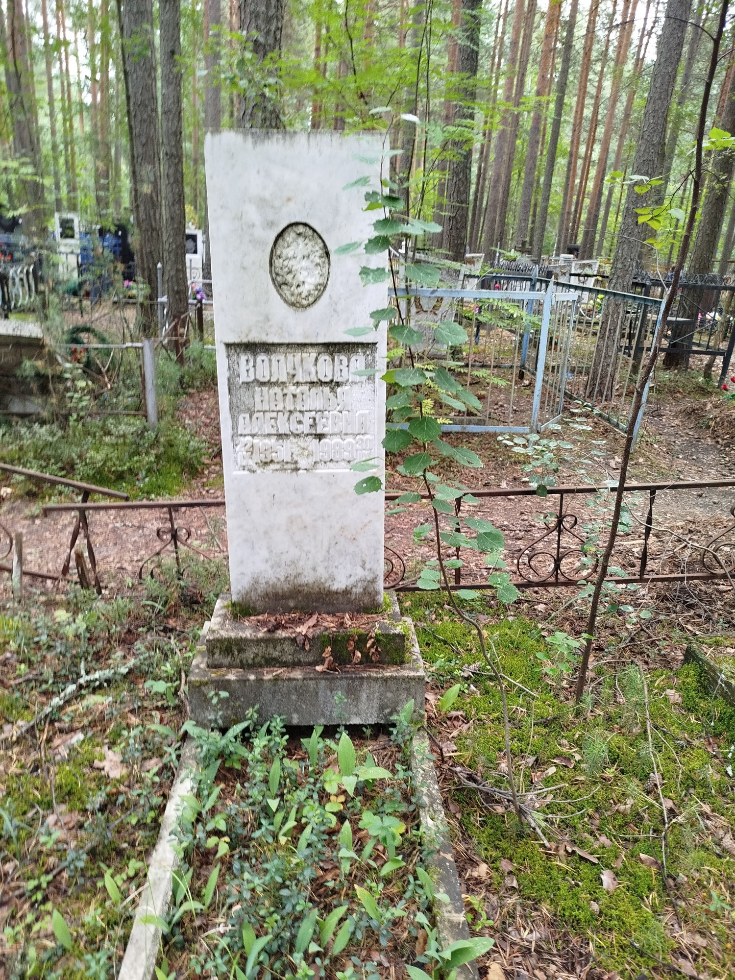 Волчкова Наталья Алексеевна