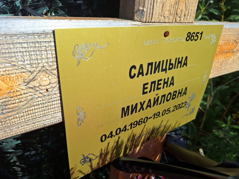 Салицына