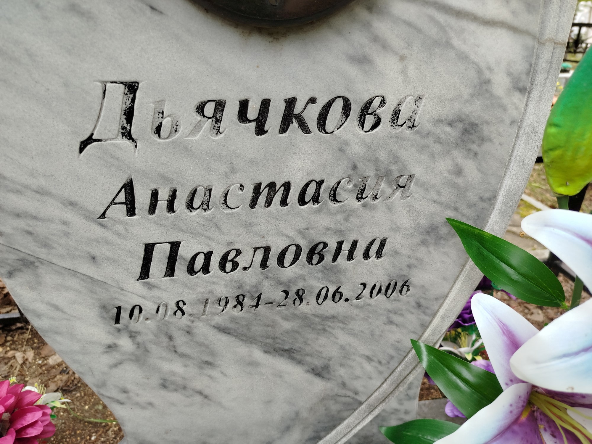 Дьячкова Анастасия Павловна