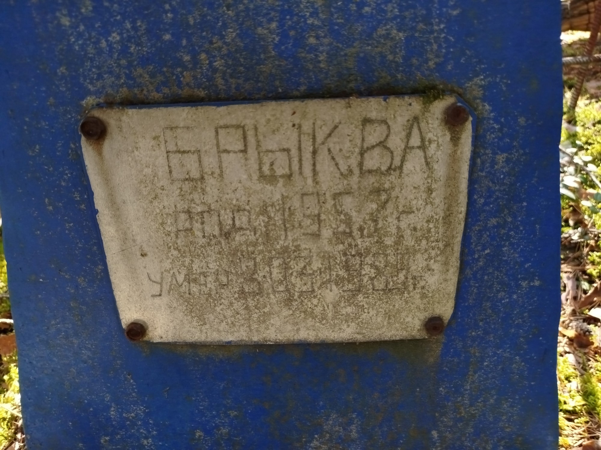 Брык В А