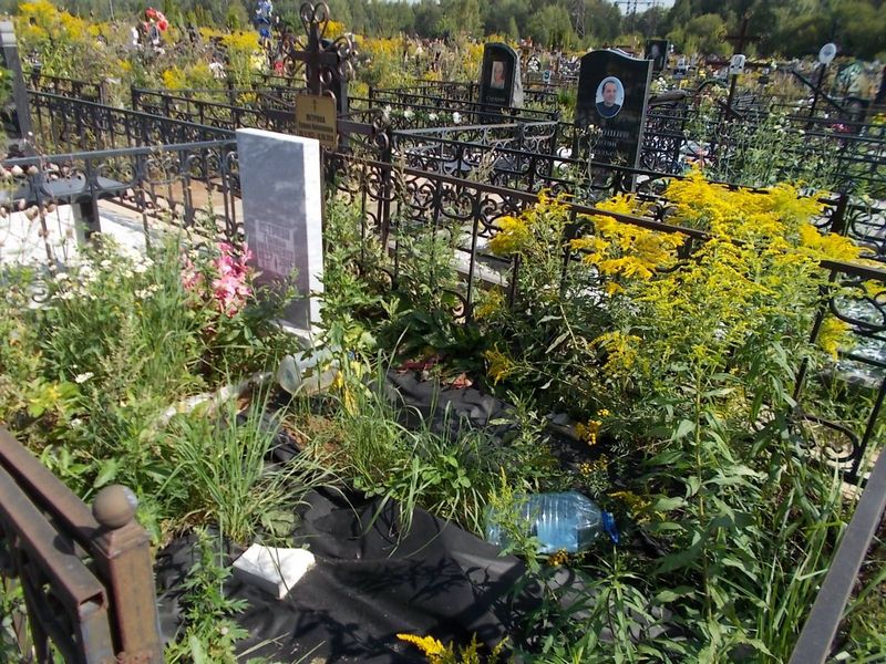 Петрова Галина Николаевна