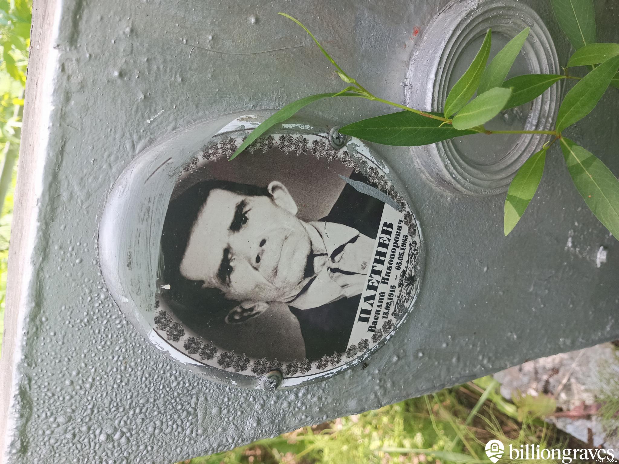 Плетнев Василий Никонорович