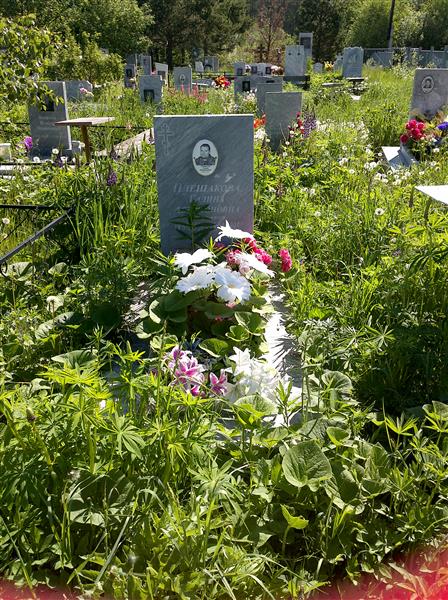 Плешакова Галина Артомоновна