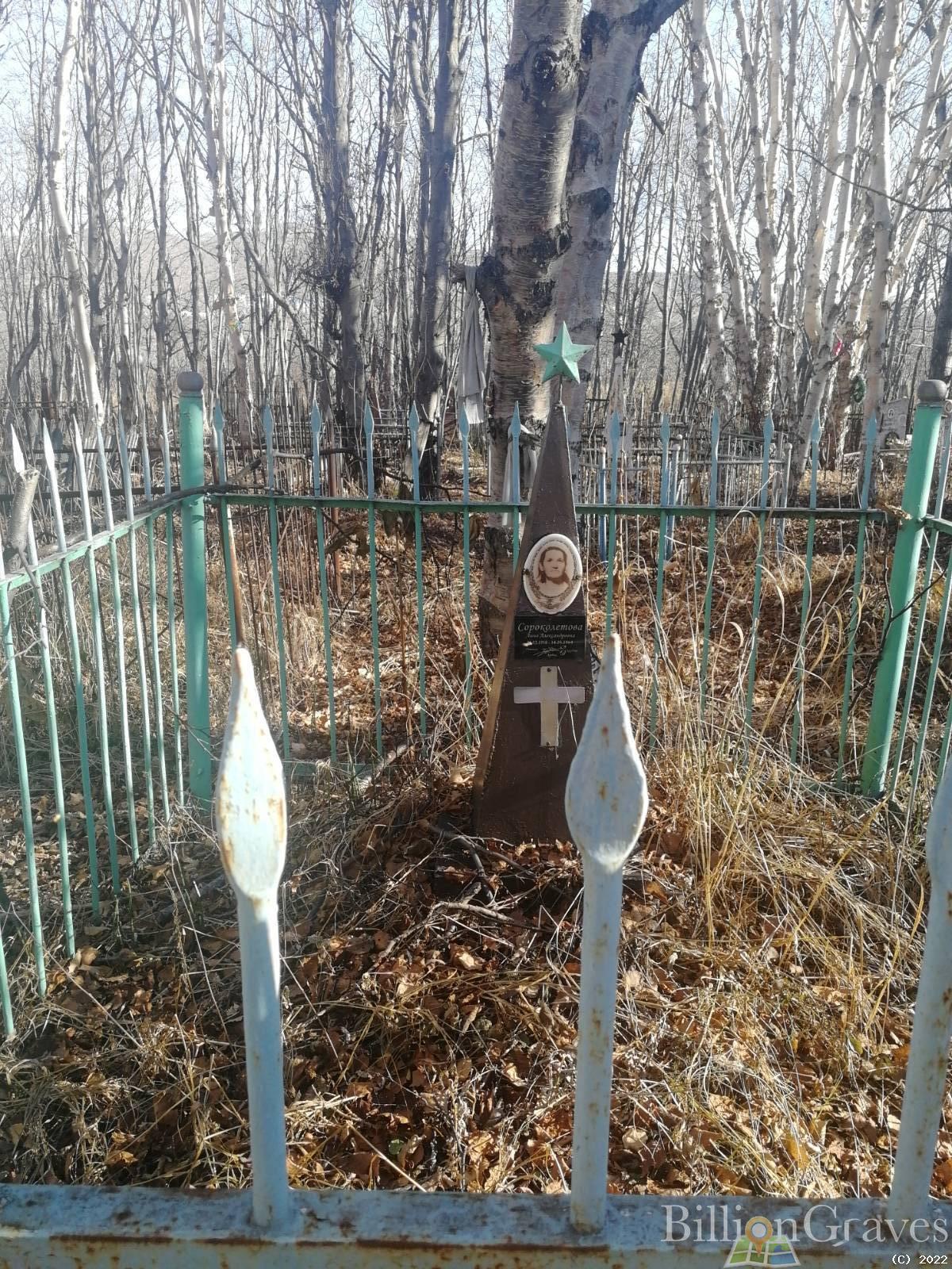 Сороколетова Анна Александровна